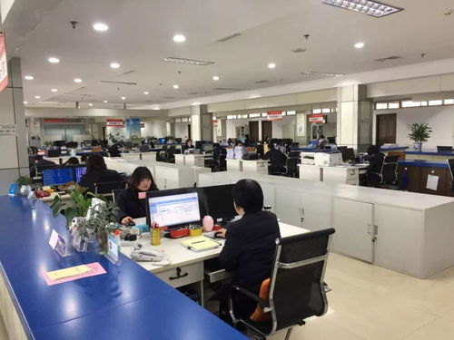 高效政務服務新開局，區政務服務中心各窗口節后首日全力投入